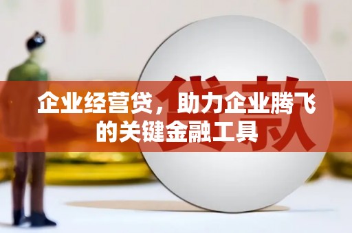 芒市企业经营贷，助力企业腾飞的关键金融工具