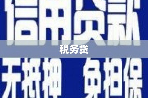 普洱税务贷