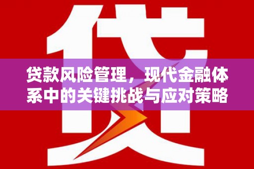 合水贷款风险管理，现代金融体系中的关键挑战与应对策略