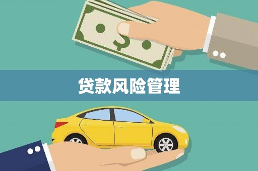 巴楚贷款风险管理