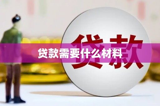 称多贷款需要什么材料