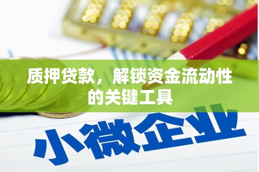 璧山质押贷款，解锁资金流动性的关键工具
