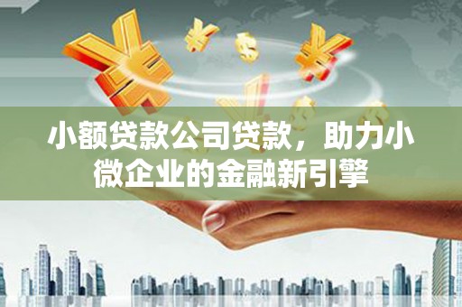 大名小额贷款公司贷款，助力小微企业的金融新引擎
