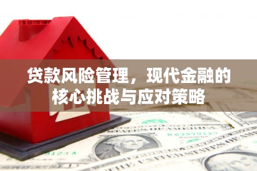 兖州贷款风险管理，现代金融的核心挑战与应对策略