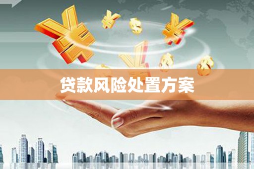连云贷款风险处置方案