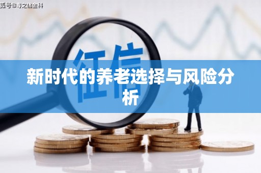 边坝新时代的养老选择与风险分析