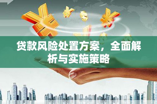 黑龙江贷款风险处置方案，全面解析与实施策略