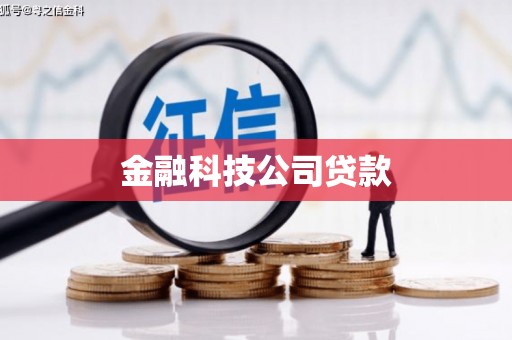 楠西金融科技公司贷款