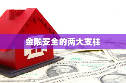 峨边金融安全的两大支柱
